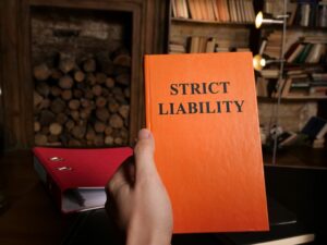 Strict liability rules book in the hand.